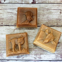 Load image into Gallery viewer, Solace Farm Homestead shampoo bars zero waste sustainable Knoxville
