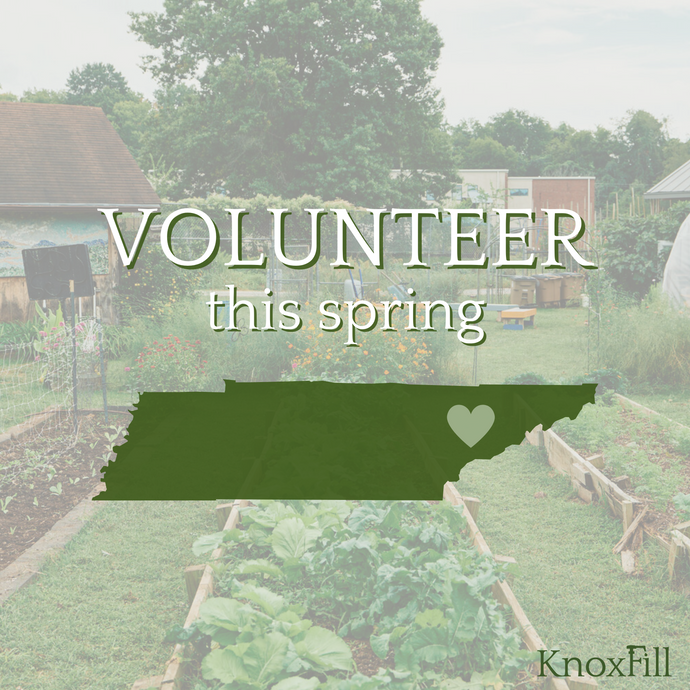 Volunteer in Knoxville this Spring