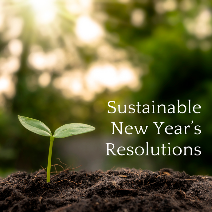 Sustainable New Year's Resolutions