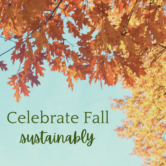 Celebrate Fall Sustainably