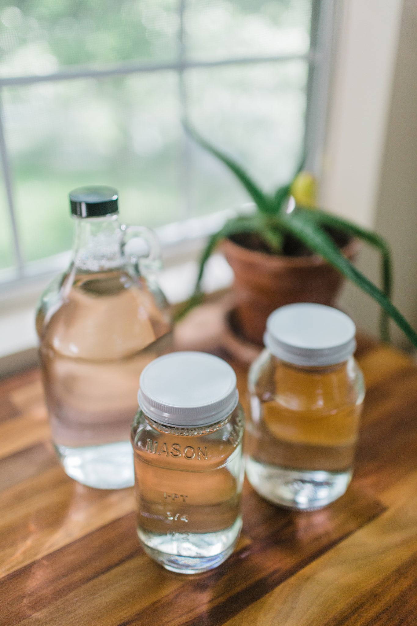 Organic White Cleaning Vinegar  5% (50 grain) – Rustic Strength