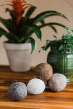 Load image into Gallery viewer, sustainable alpaca fleece dryer balls in front of green plant zero-waste Knoxville, TN
